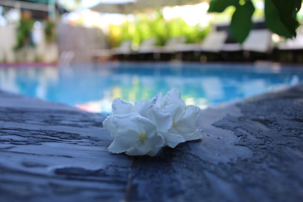 Phuc Thao Villa Хой Ан Екстериор снимка